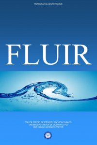 Fluir