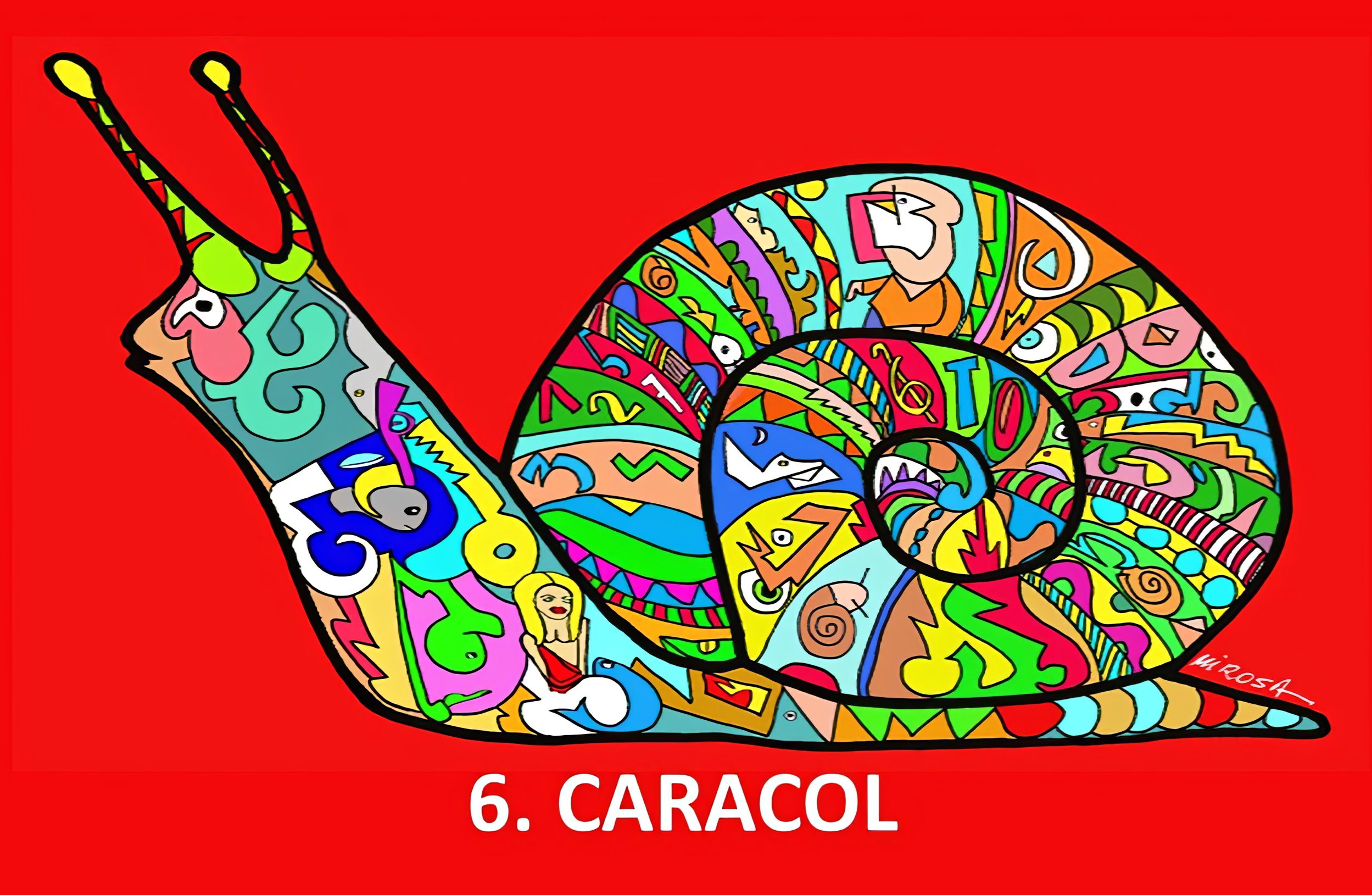 6. Caracol